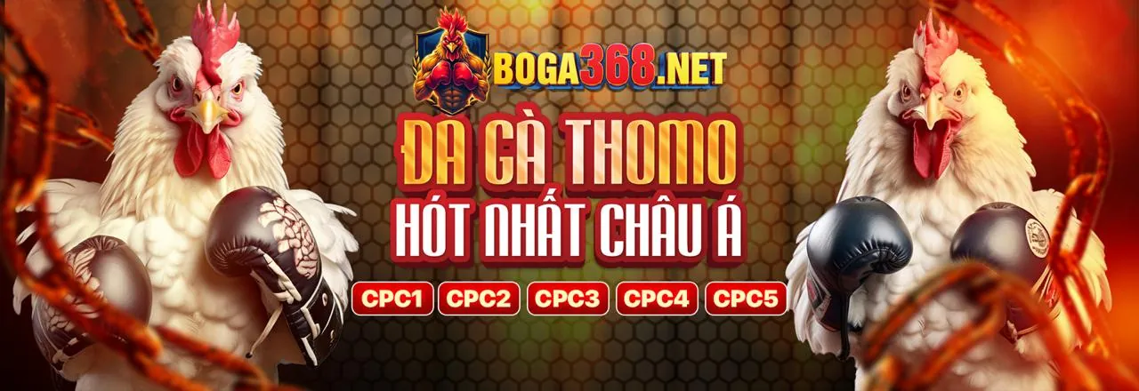 Ứng Dụng Di Động s88 chính thức