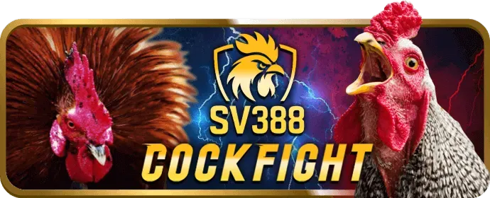 Hướng Dẫn Cá Cược Đá Gà S88